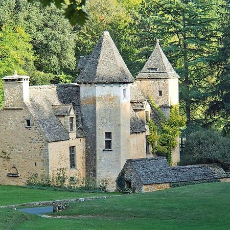 Logement D'Exception Dans Le Chateau De Lacypierre Saint-Crépin-et-Carlucet Exterior photo
